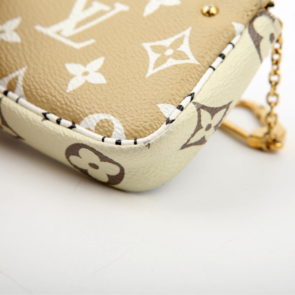 Louis Vuitton Pochette Accessories Micro Giant Monogram Green