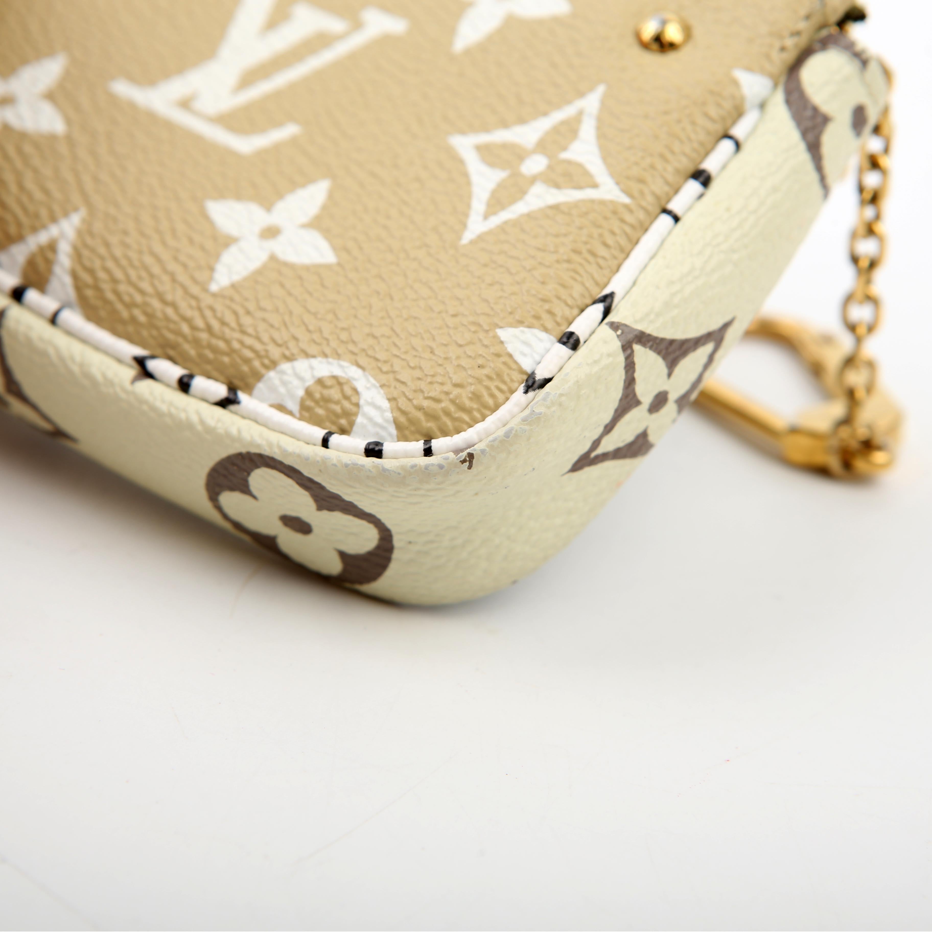 Louis Vuitton Pochette Accessories Micro Giant Monogram Green