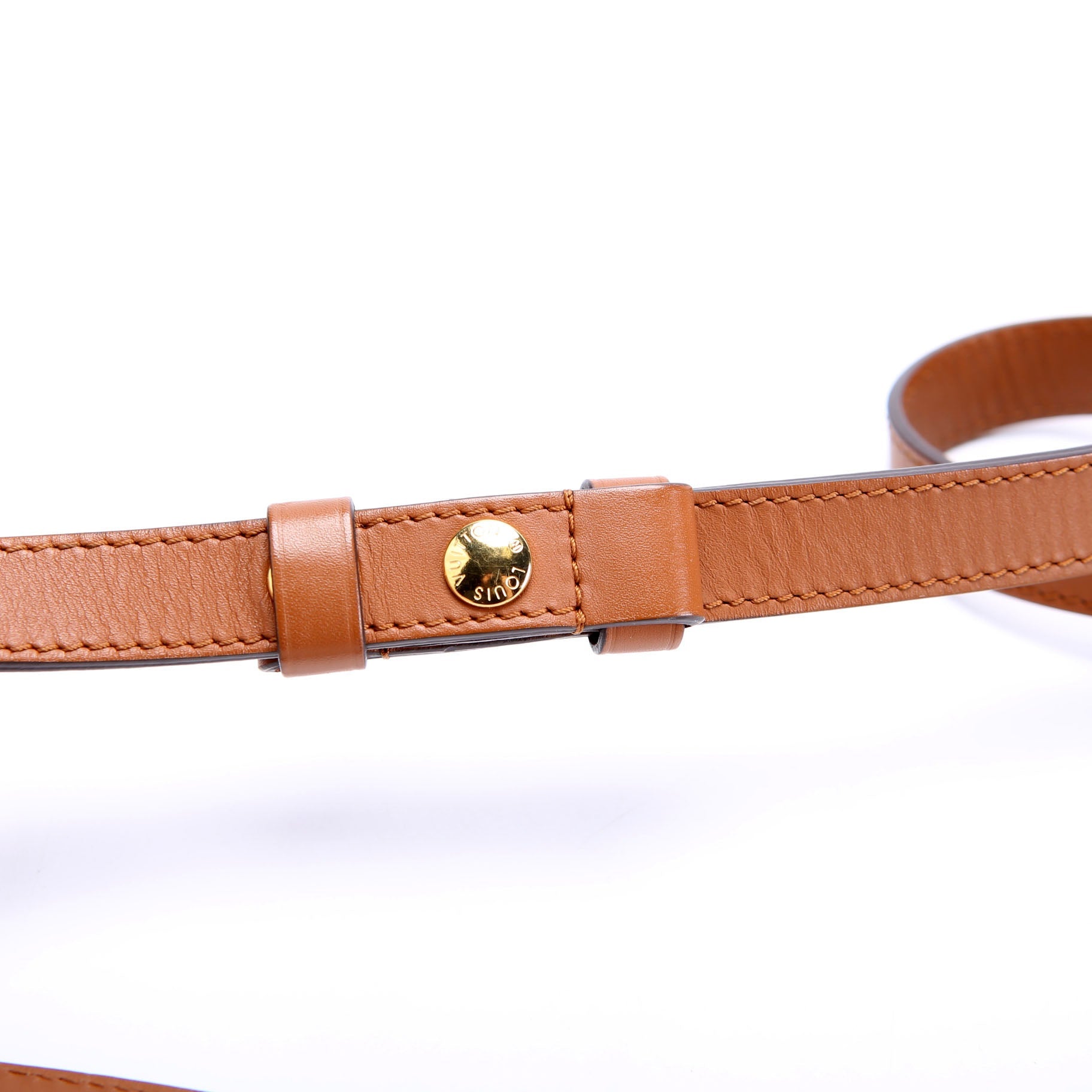 Louis Vuitton Dauphine MM Reverse Monogram