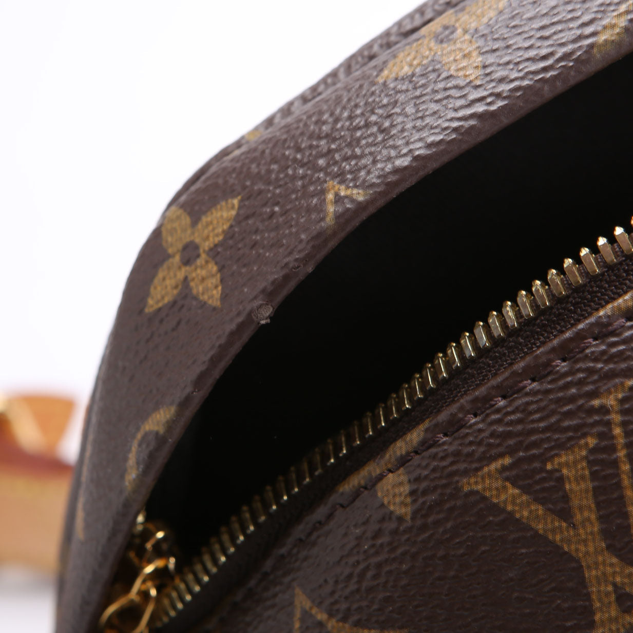 Louis Vuitton Bumbag Monogram 2021