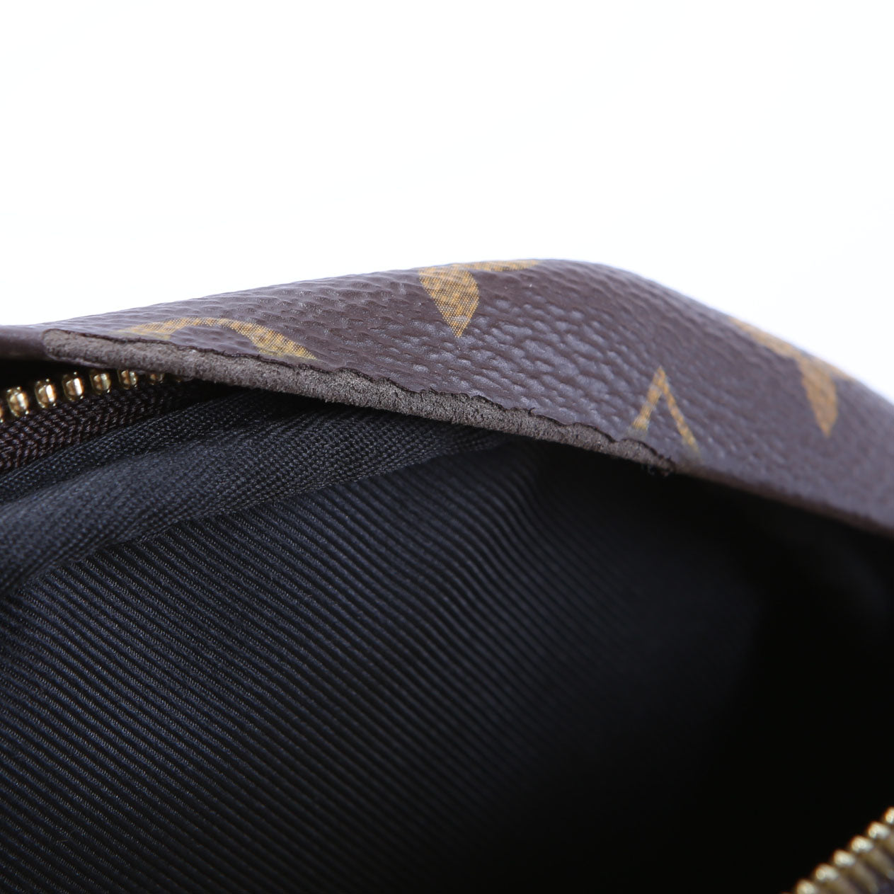 Louis Vuitton Bumbag Monogram 2021