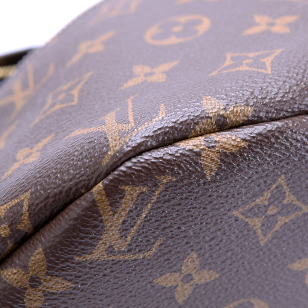Louis Vuitton Bumbag Monogram 2021