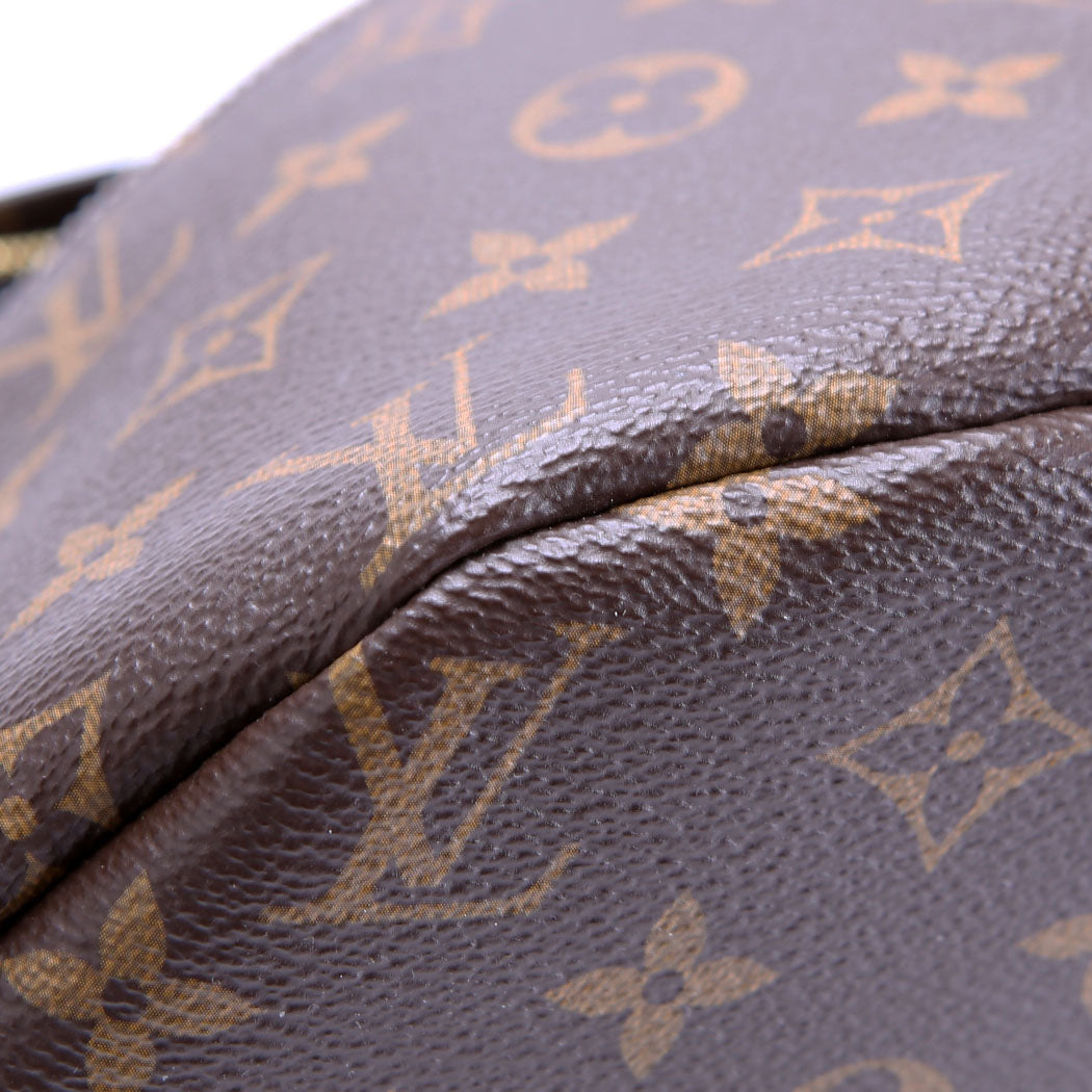 Louis Vuitton Bumbag Monogram 2021