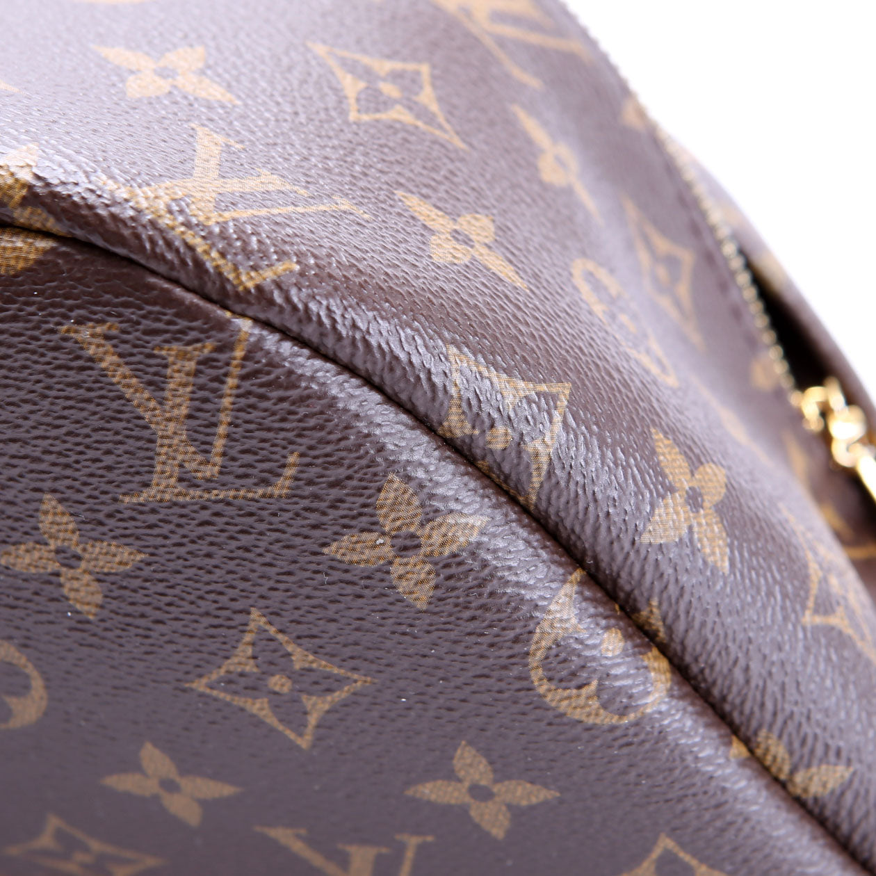 Louis Vuitton Bumbag Monogram 2021