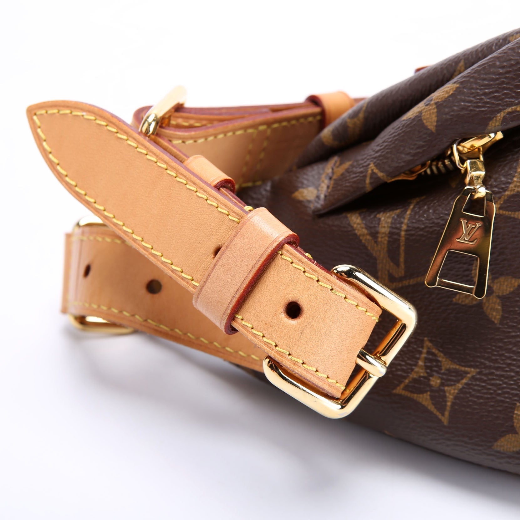 Louis Vuitton Bumbag Monogram 2021