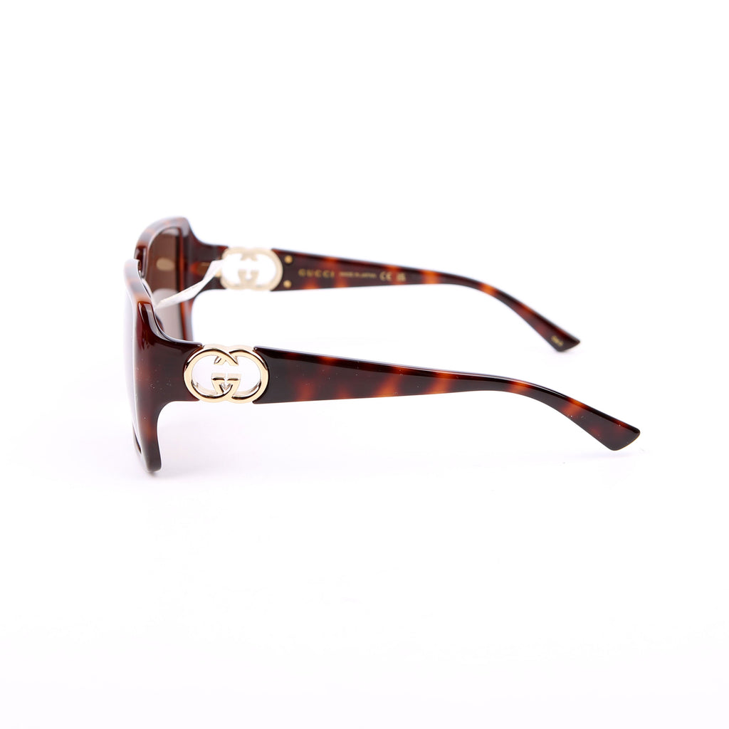 Gucci GG1692S Oversized Square Sunglasses Brown