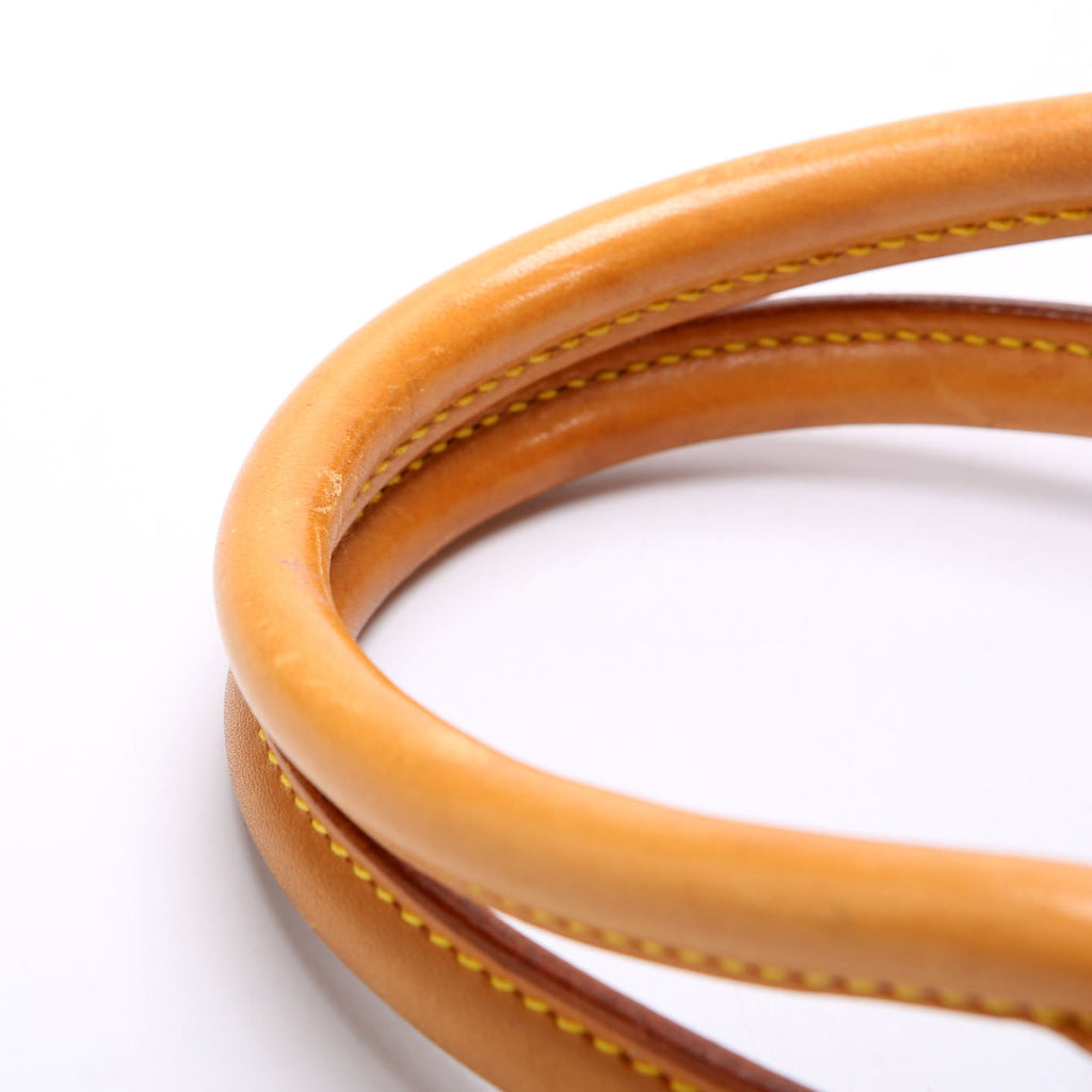 Louis Vuitton Ellipse PM Monogram