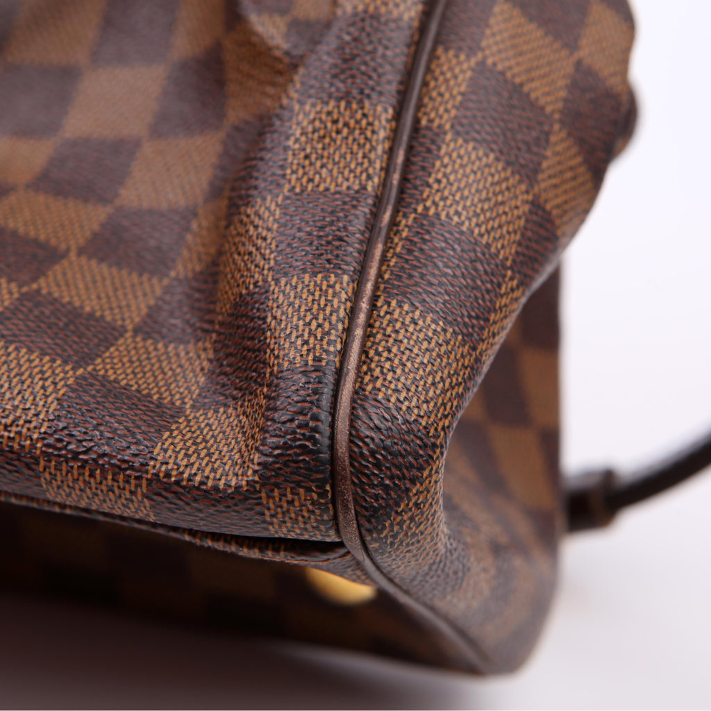 Louis Vuitton Trevi PM Damier Ebene
