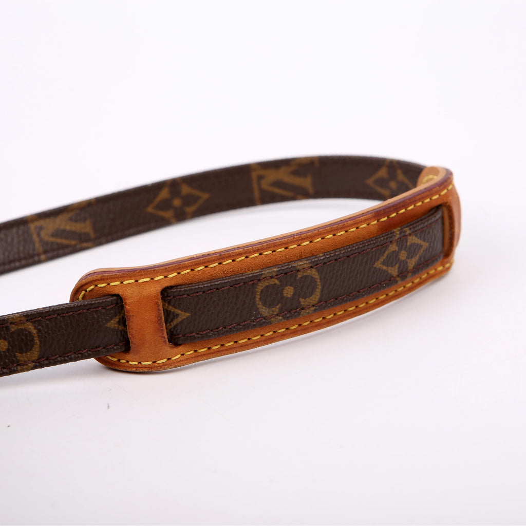 Louis Vuitton Danube Monogram