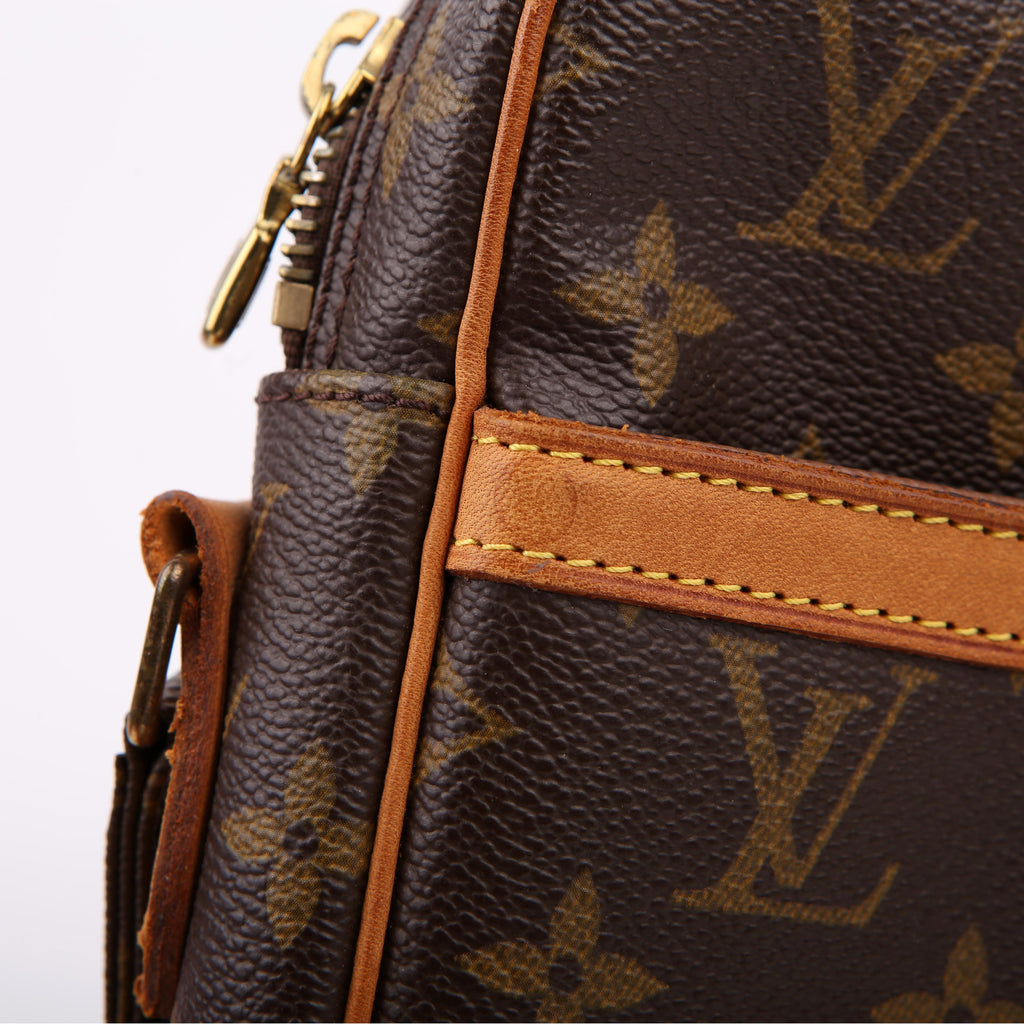 Louis Vuitton Danube Monogram