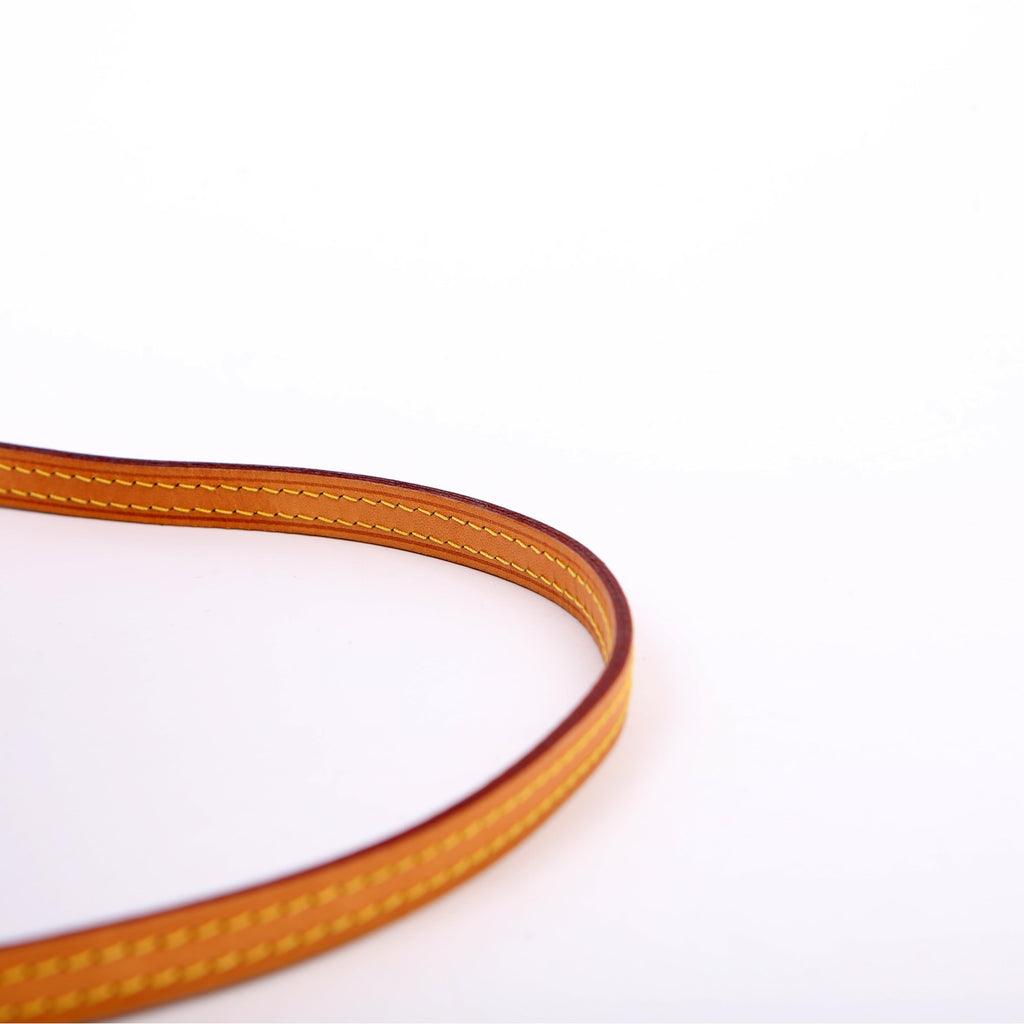 Louis Vuitton Nano Noe Monogram
