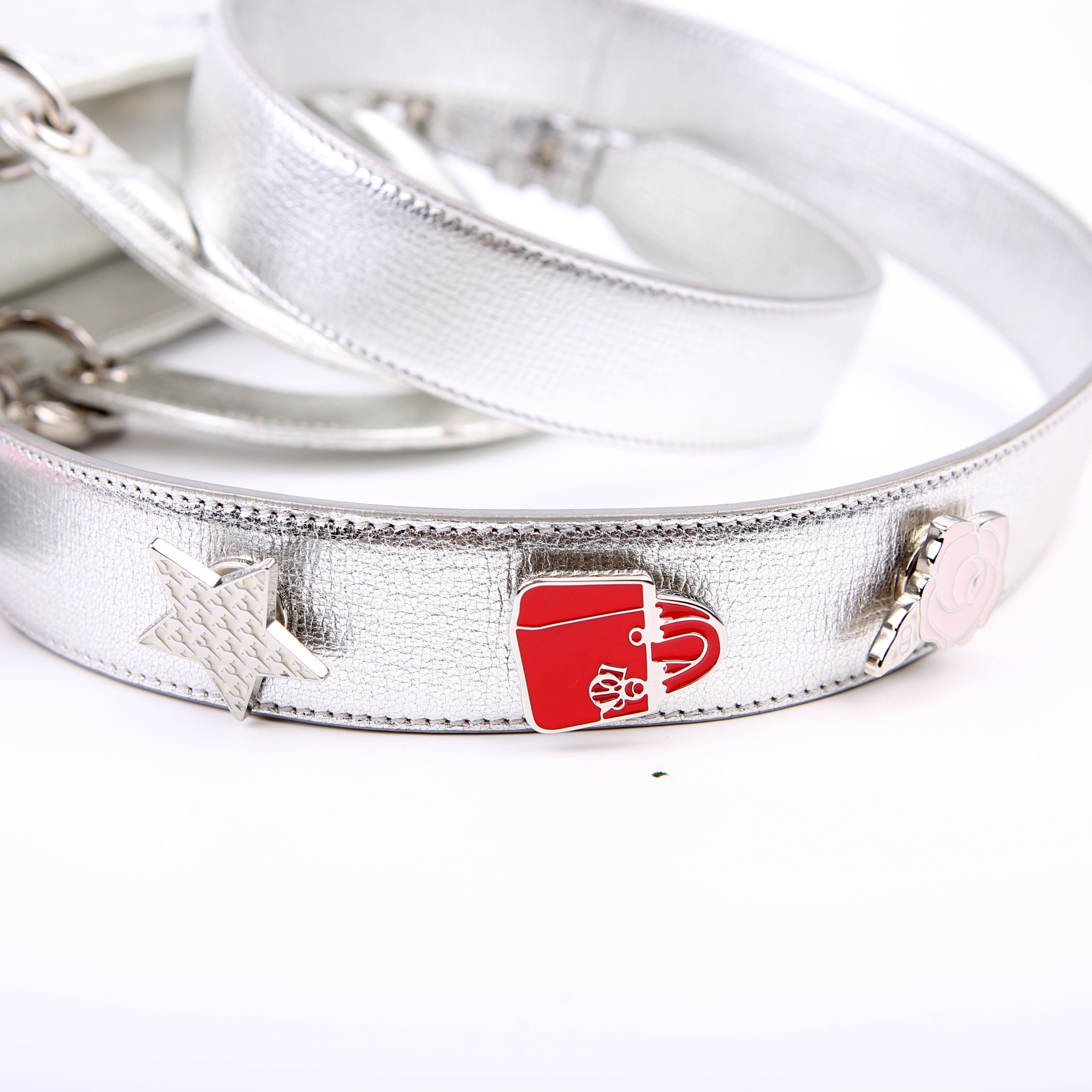 Christian Dior Lady Dior ABCDior Small Silver