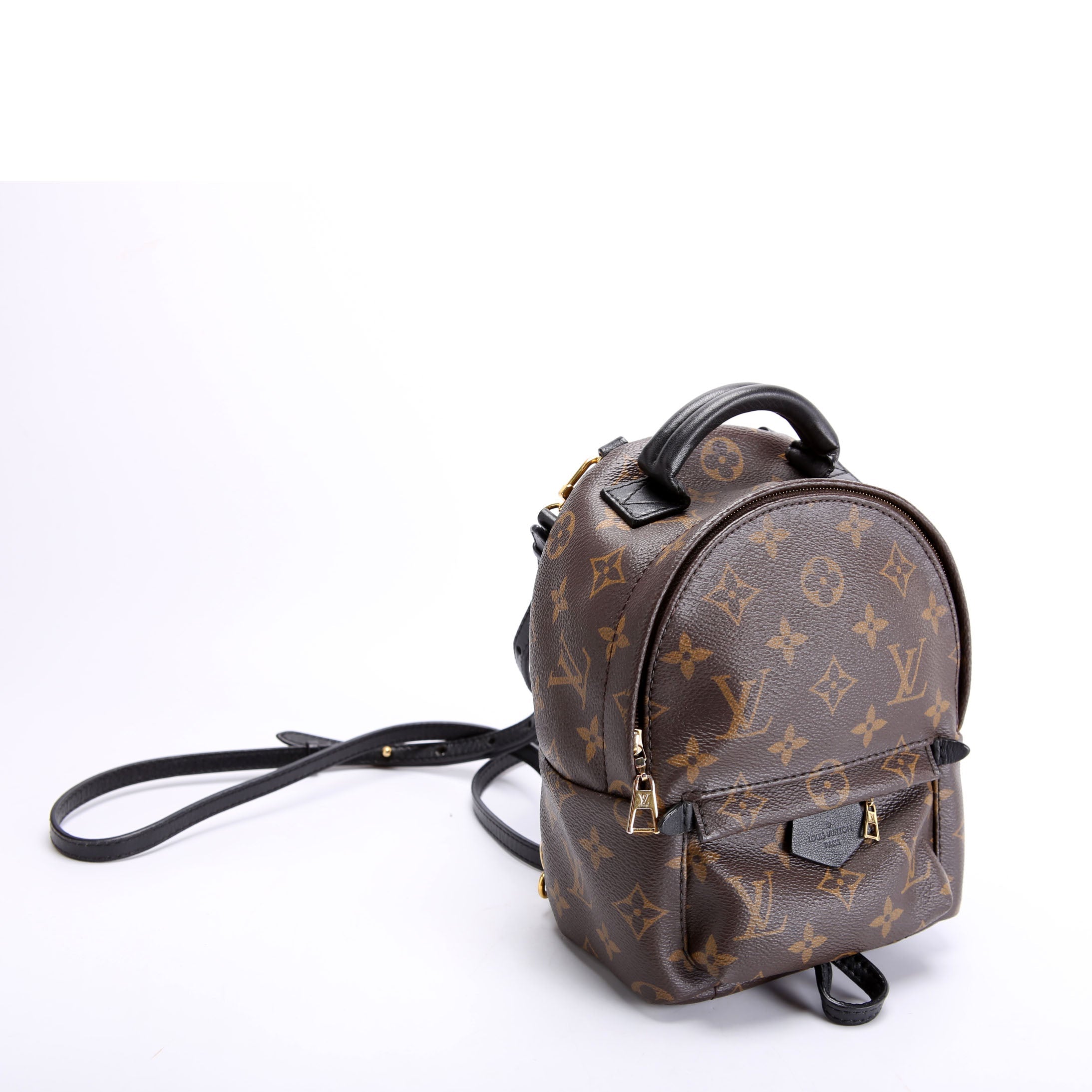 Louis Vuitton Palm Springs Mini Monogram Black/Brown