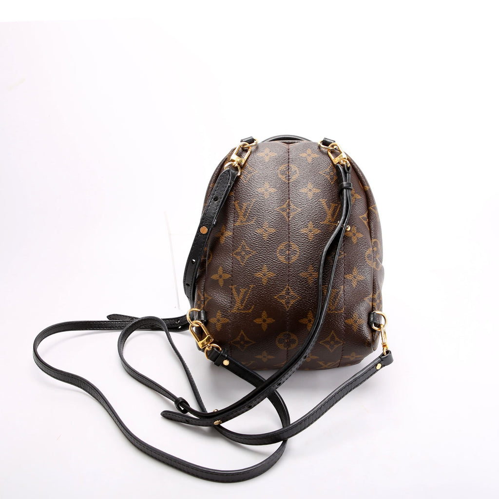 Louis Vuitton Palm Springs Mini Monogram Black/Brown