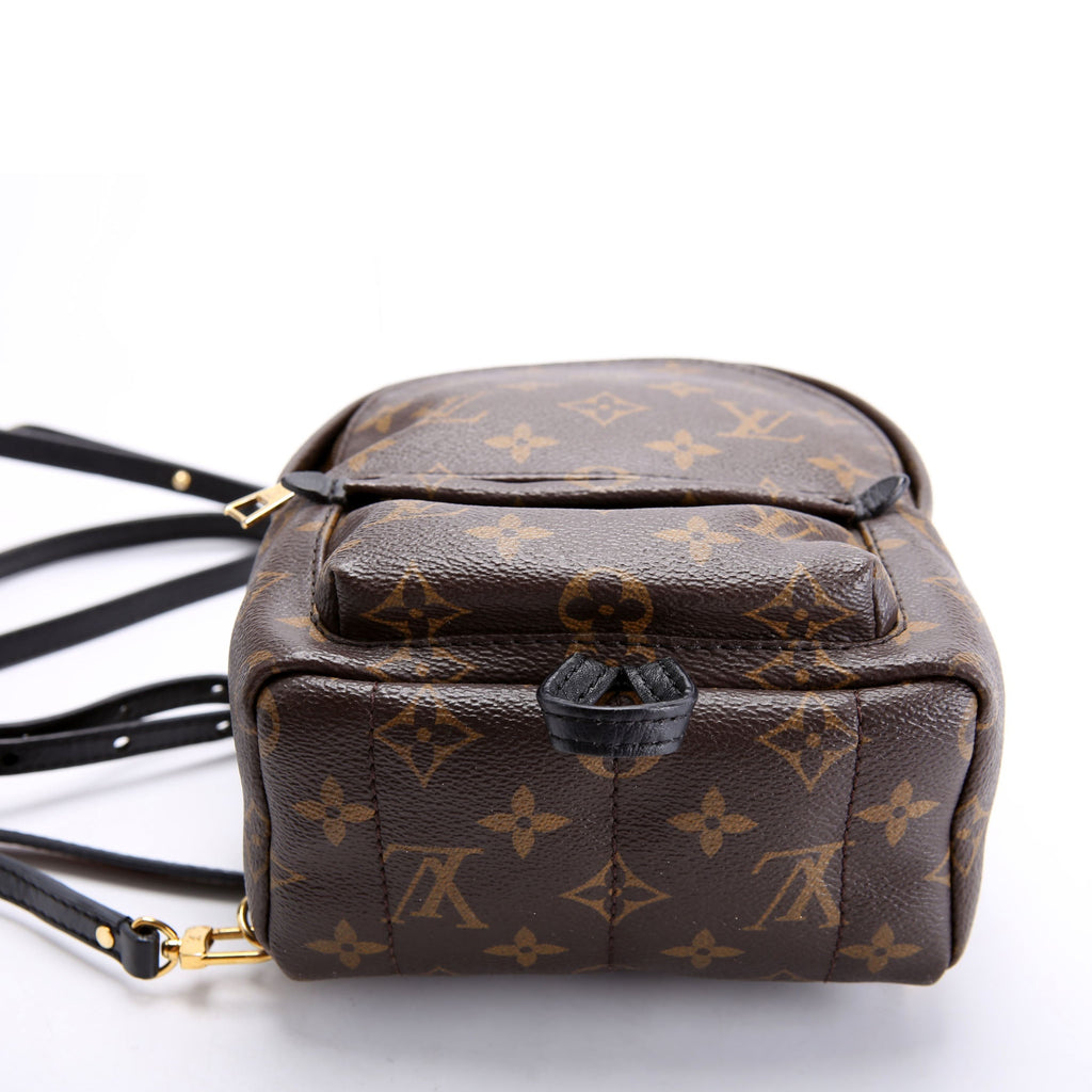 Louis Vuitton Palm Springs Mini Monogram Black/Brown