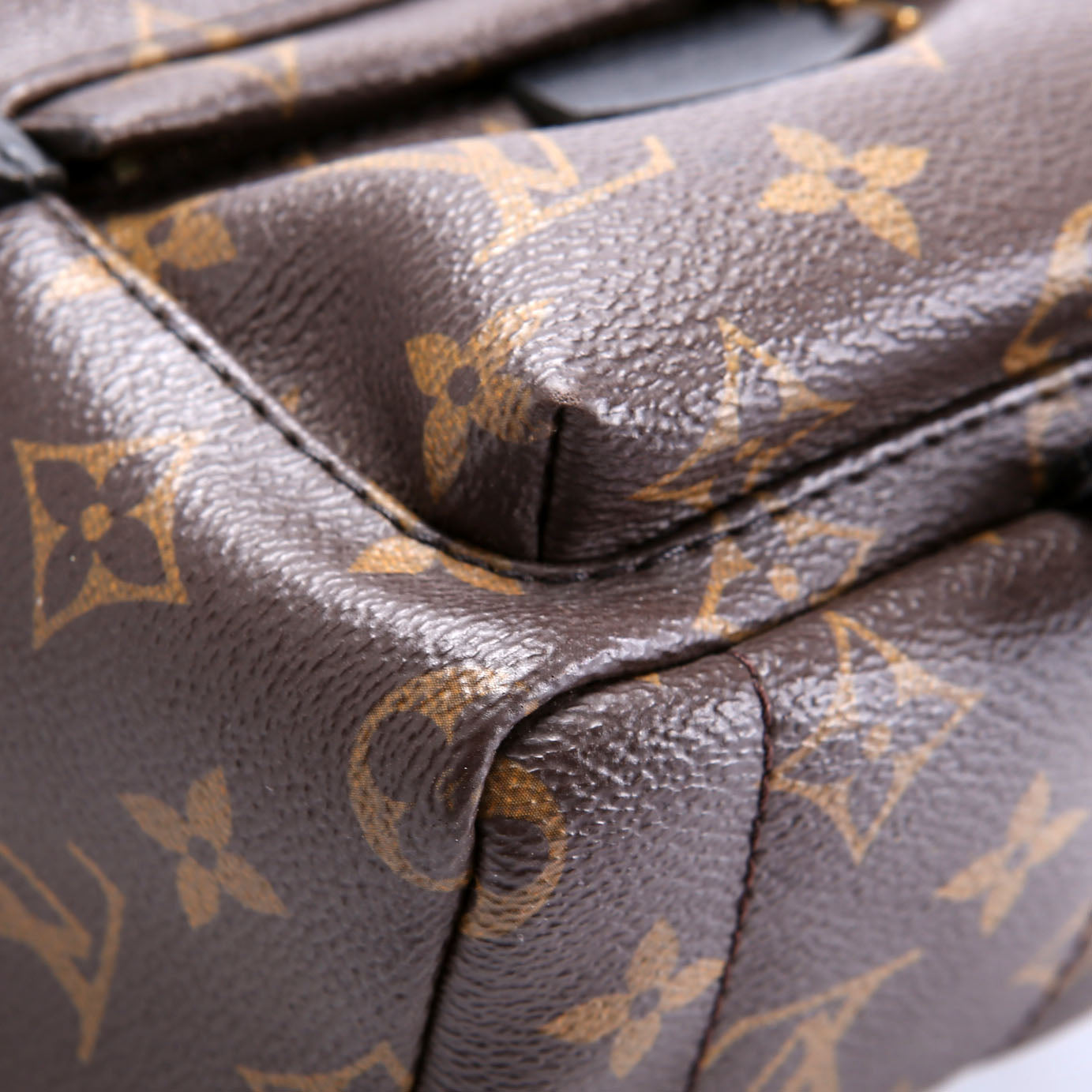 Louis Vuitton Palm Springs Mini Monogram Black/Brown