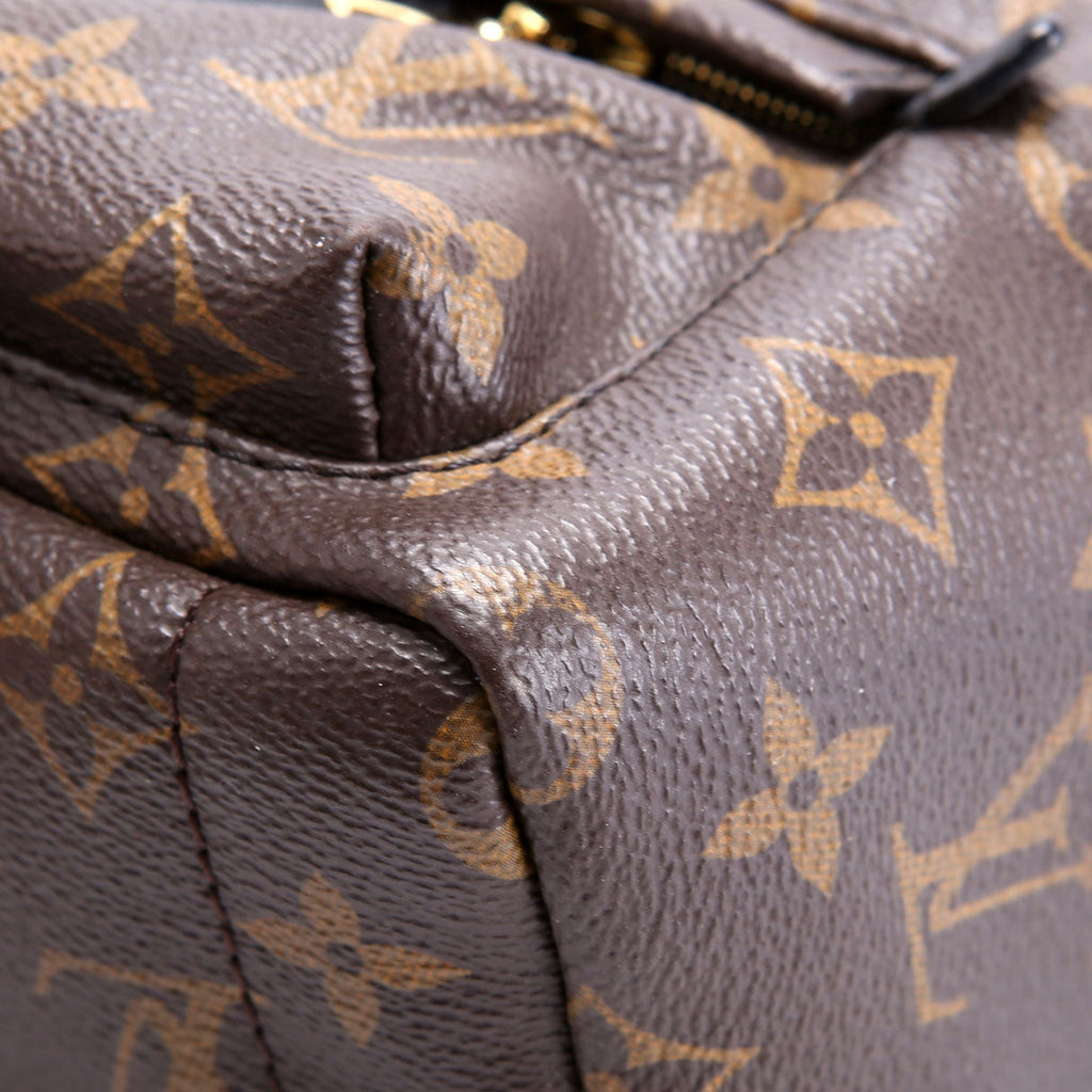 Louis Vuitton Palm Springs Mini Monogram Black/Brown