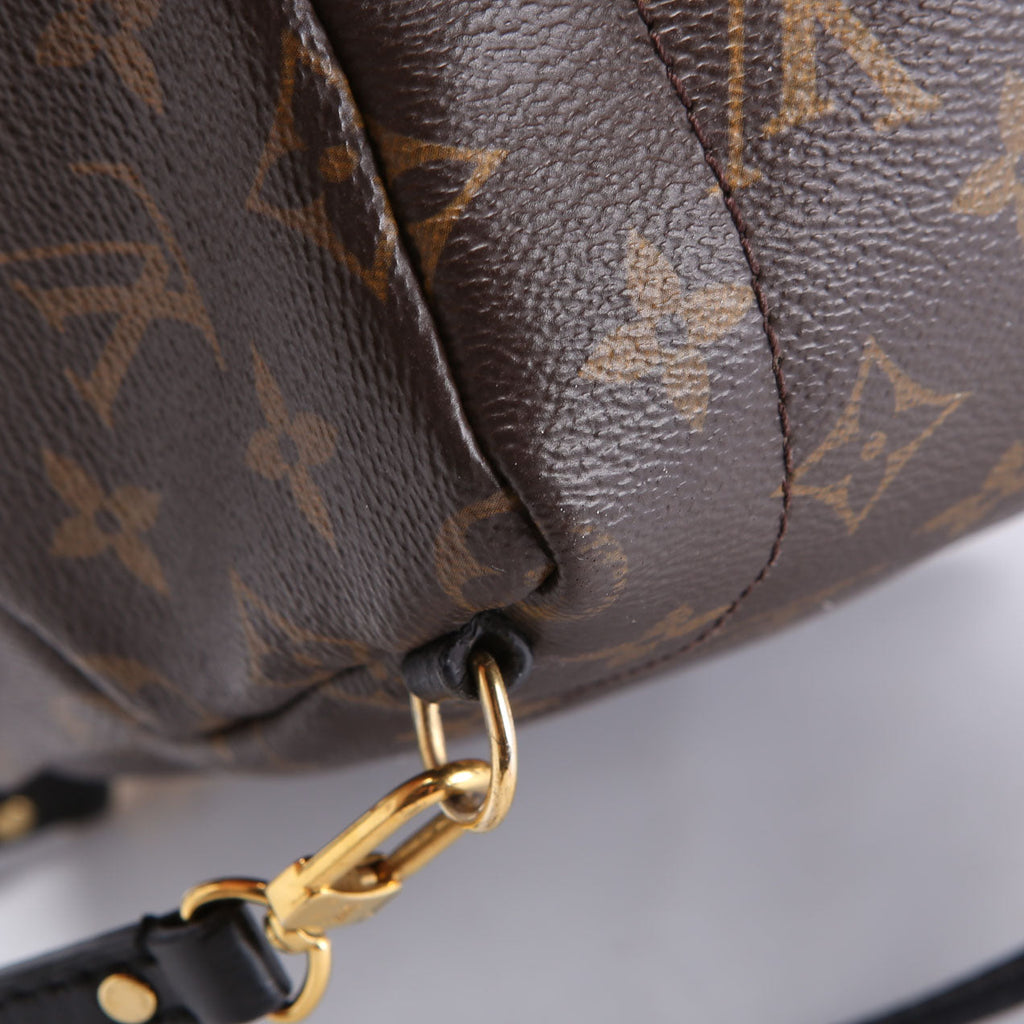 Louis Vuitton Palm Springs Mini Monogram Black/Brown