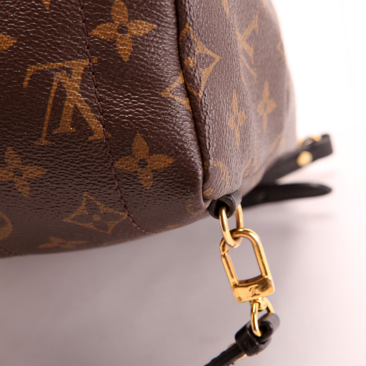 Louis Vuitton Palm Springs Mini Monogram Black/Brown