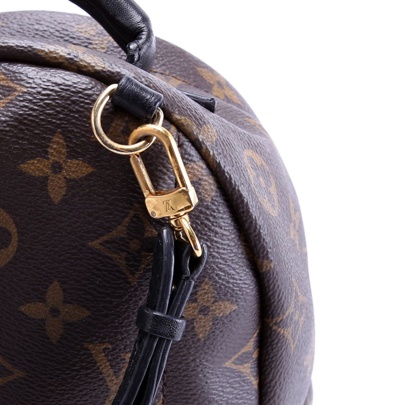 Louis Vuitton Palm Springs Mini Monogram Black/Brown