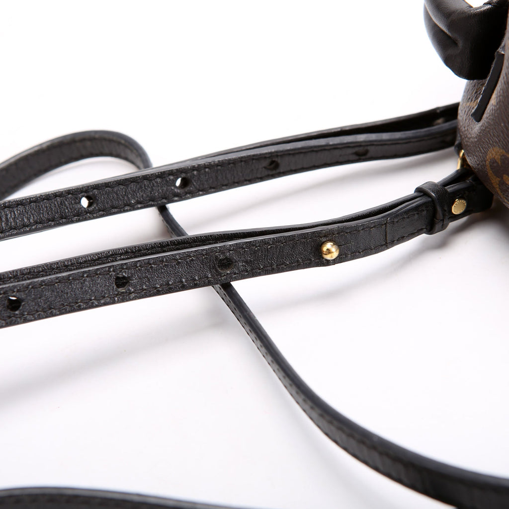 Louis Vuitton Palm Springs Mini Monogram Black/Brown