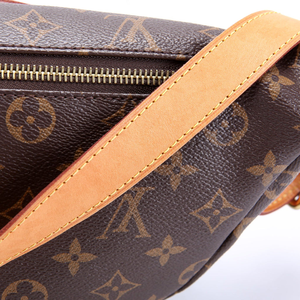 Louis Vuitton Bumbag Monogram 2019