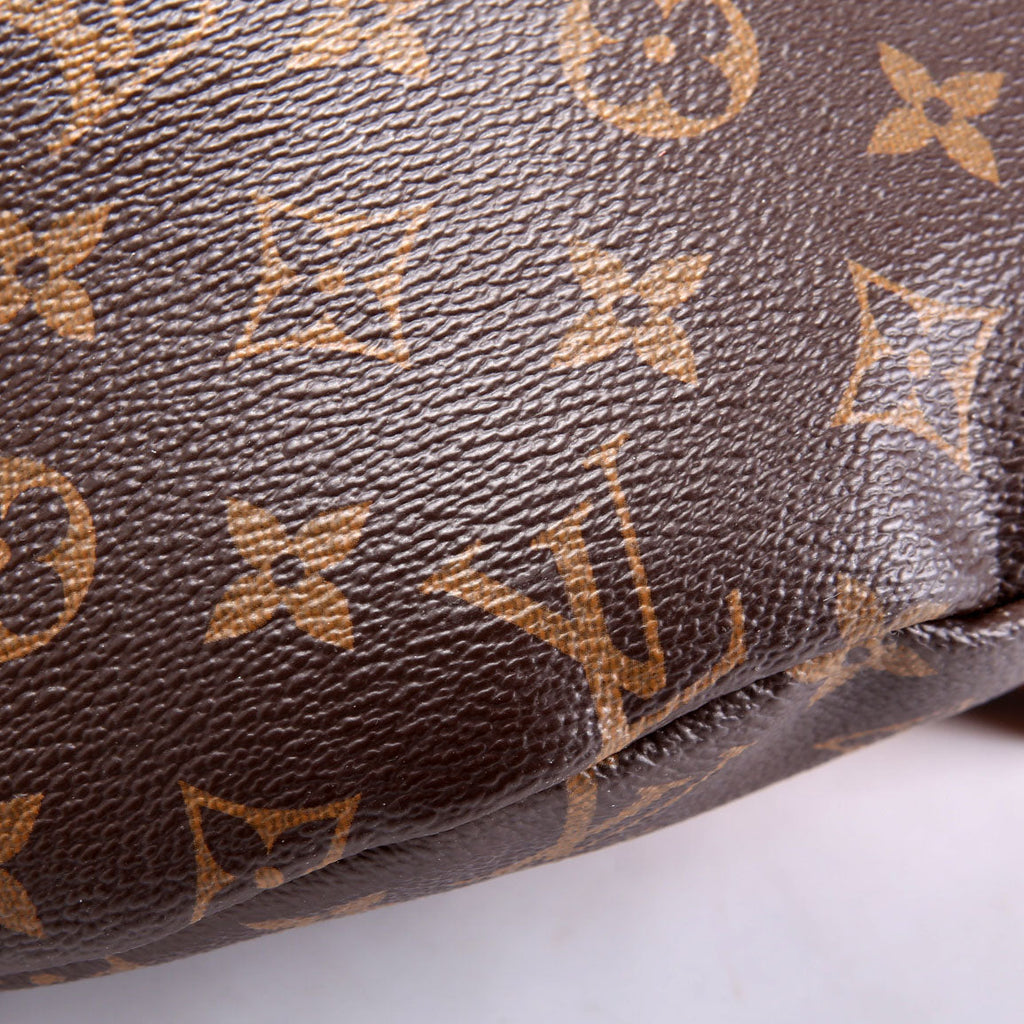 Louis Vuitton Bumbag Monogram 2019