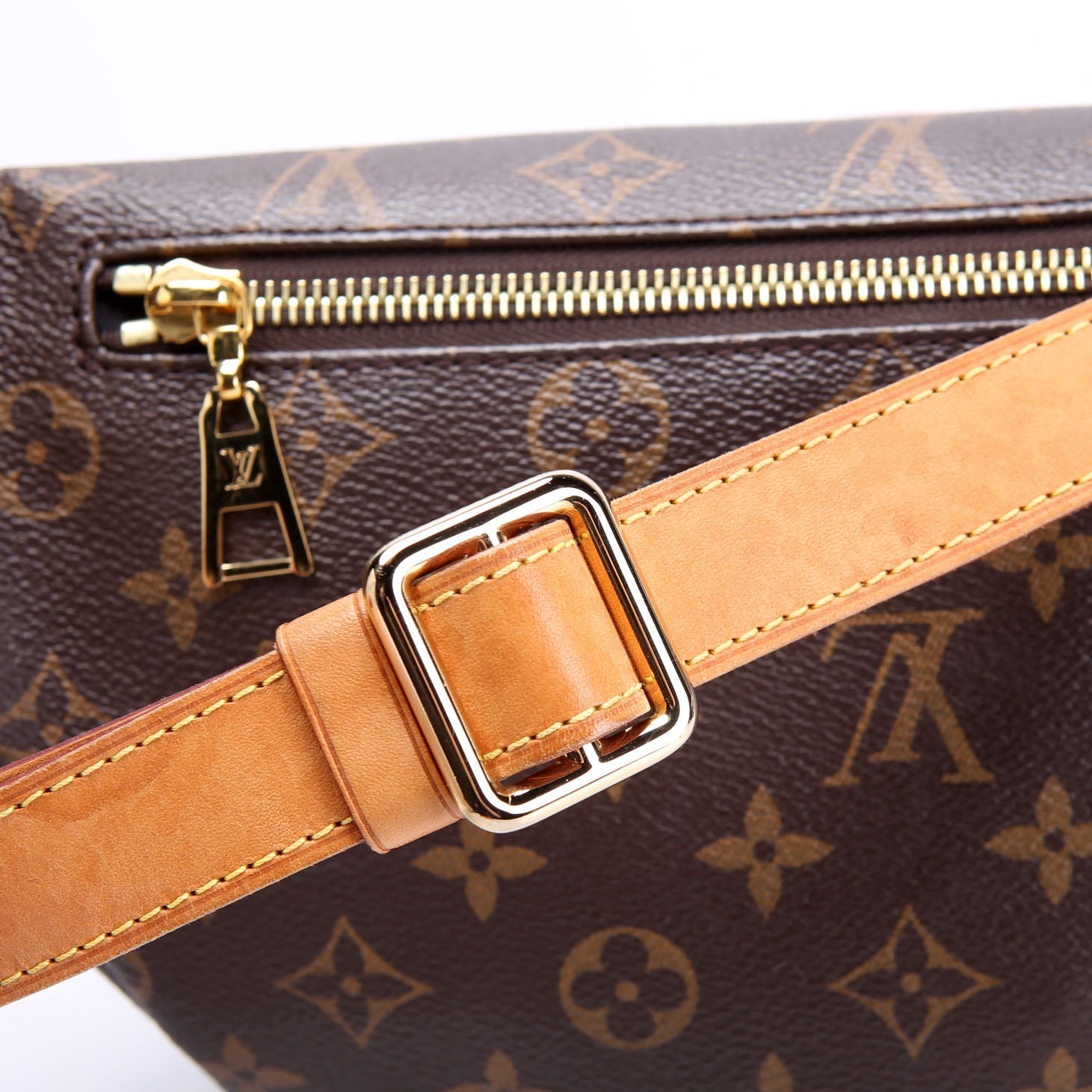 Louis Vuitton Bumbag Monogram 2019