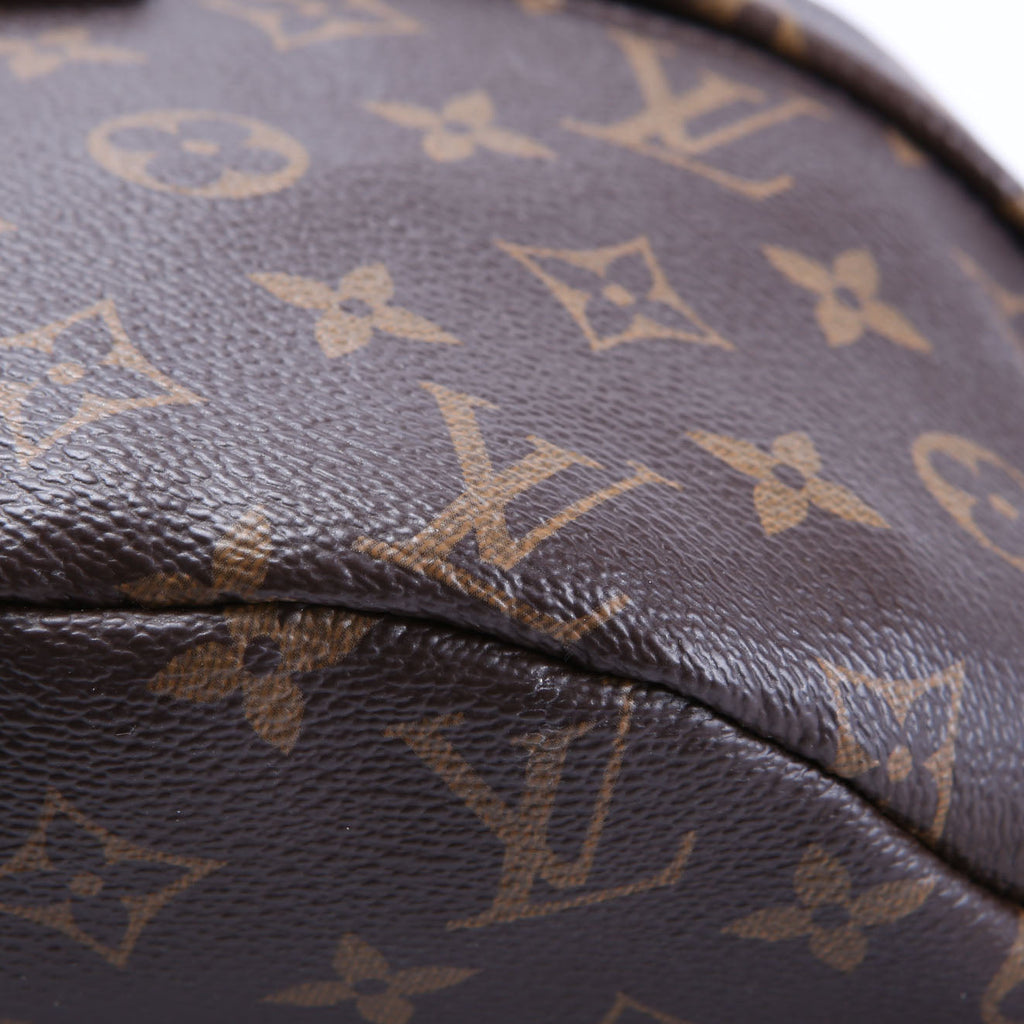 Louis Vuitton Bumbag Monogram 2019