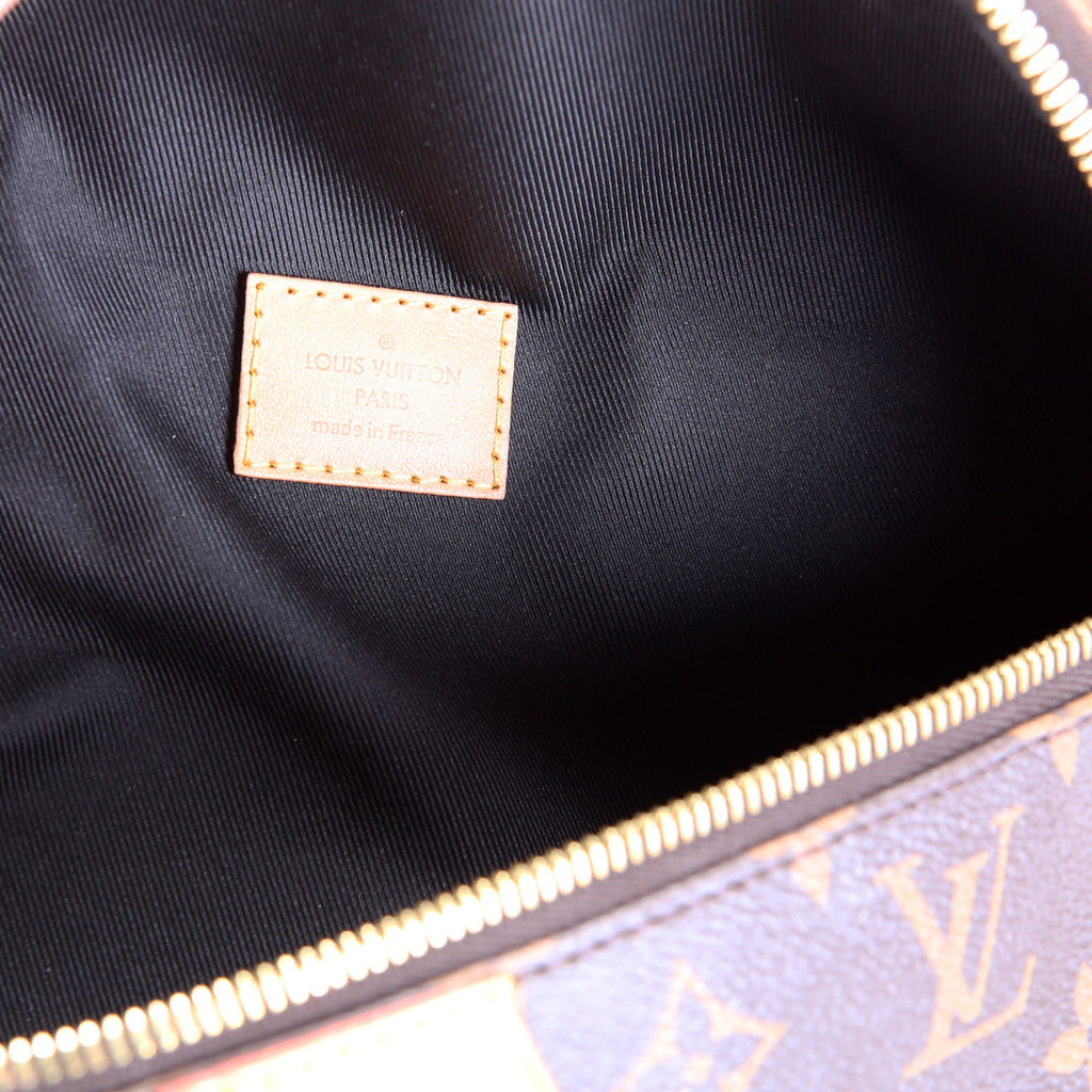 Louis Vuitton Bumbag Monogram 2019