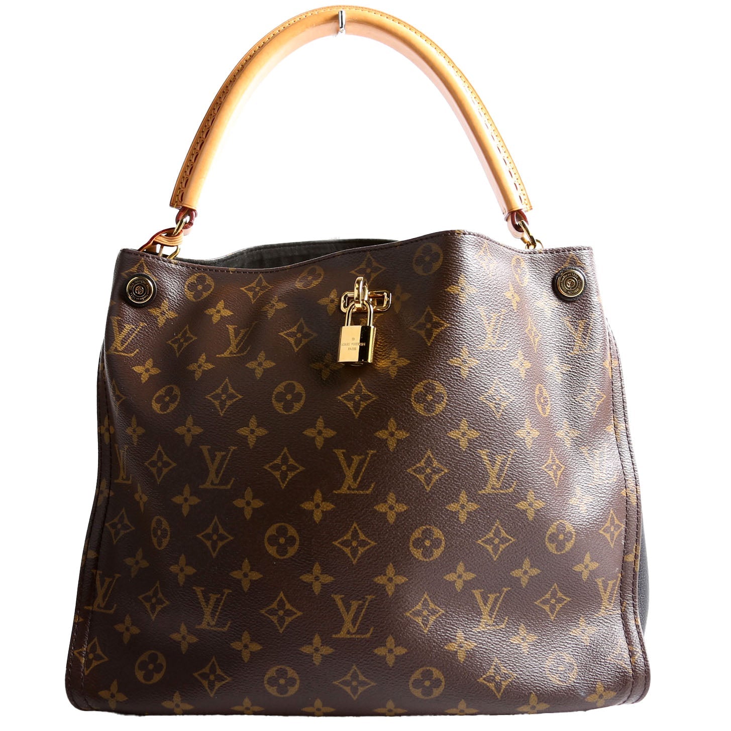 Louis Vuitton Gaia Mongoram Black