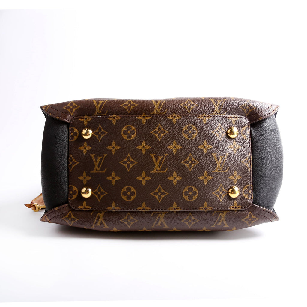 Louis Vuitton Gaia Mongoram Black