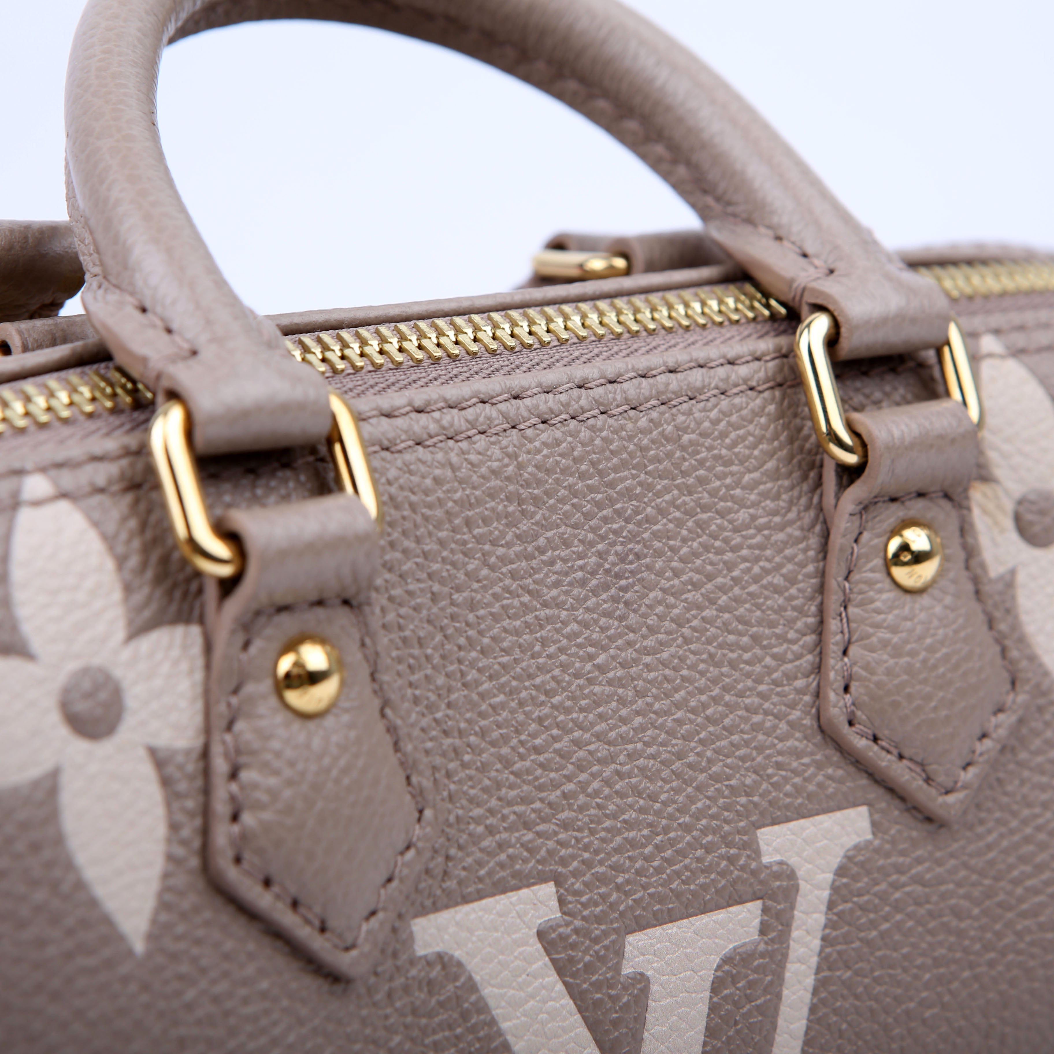 Louis Vuitton Papillon BB Bicolor Empreinte Turtledove/Cream