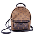 Louis Vuitton Palm Springs Mini Reverse Monogram Black