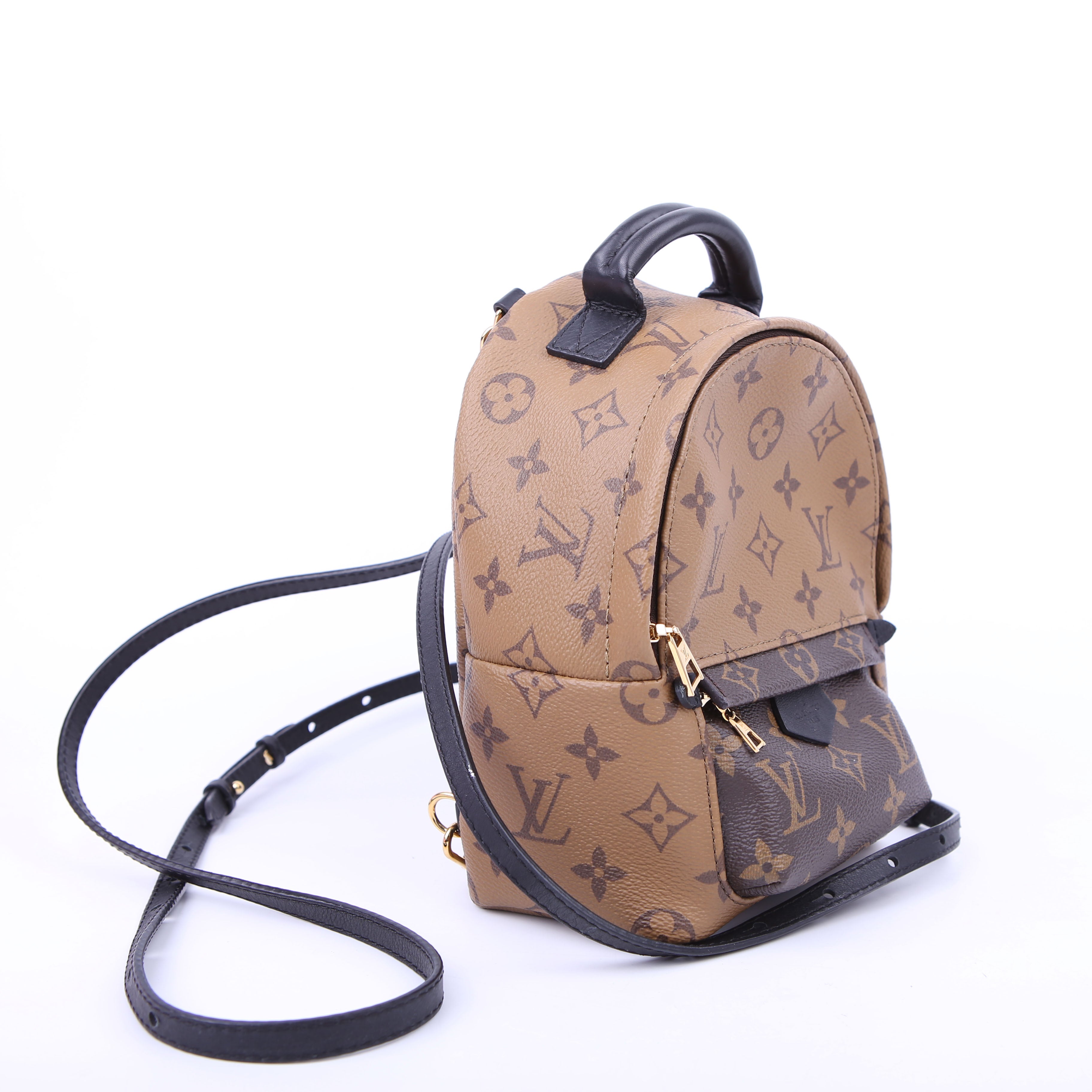 Louis Vuitton Palm Springs Mini Reverse Monogram Black