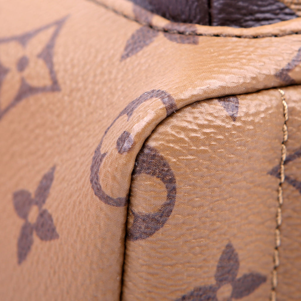 Louis Vuitton Palm Springs Mini Reverse Monogram Black