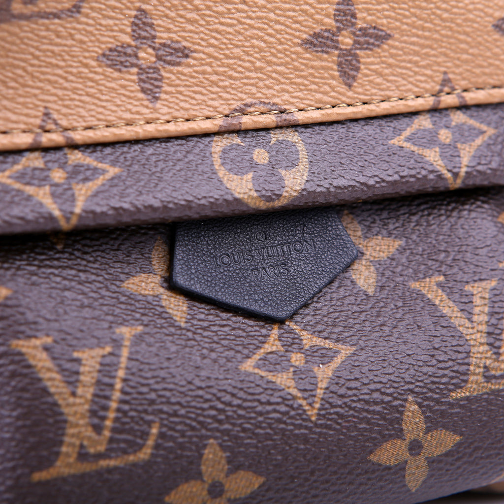 Louis Vuitton Palm Springs Mini Reverse Monogram Black