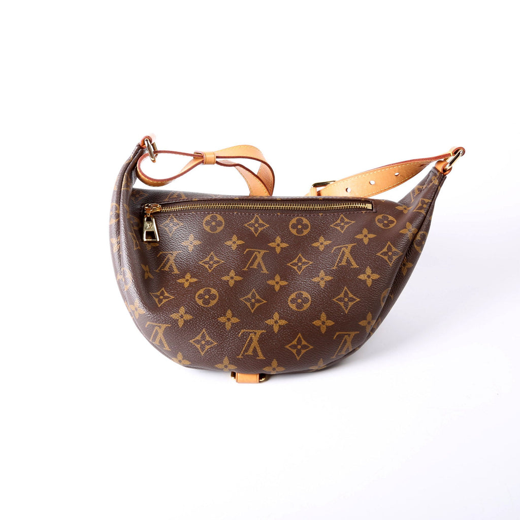 Louis Vuitton Bumbag Monogram 2018+