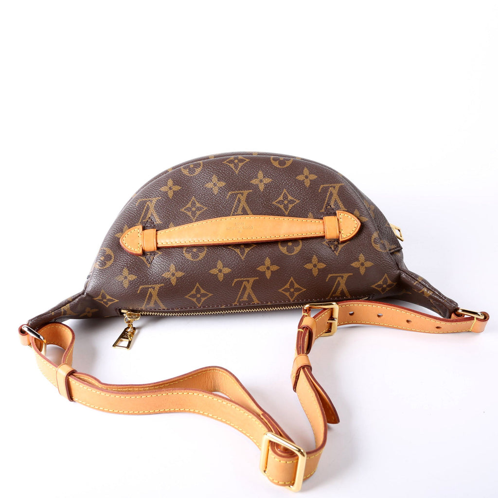 Louis Vuitton Bumbag Monogram 2018+