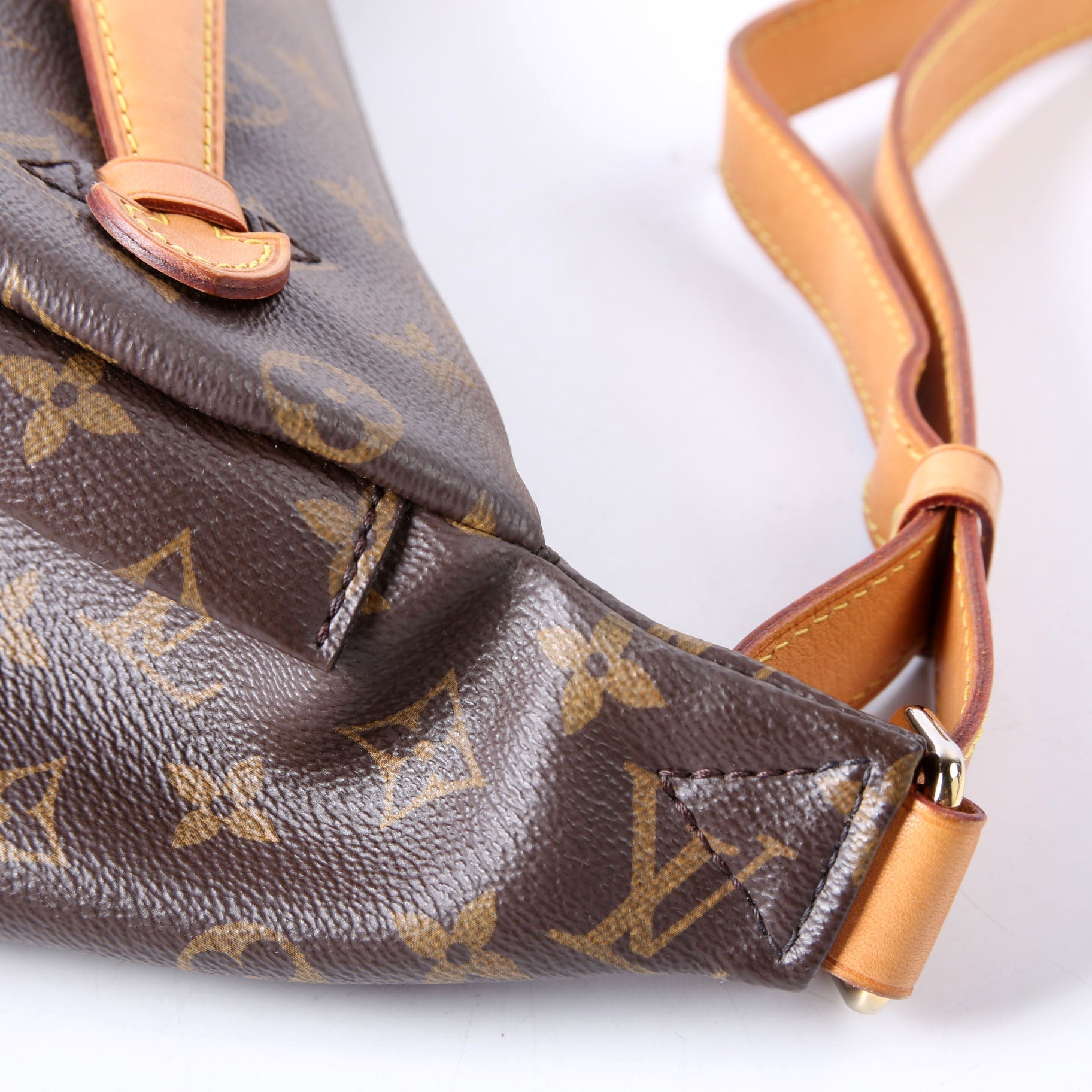 Louis Vuitton Bumbag Monogram 2018+