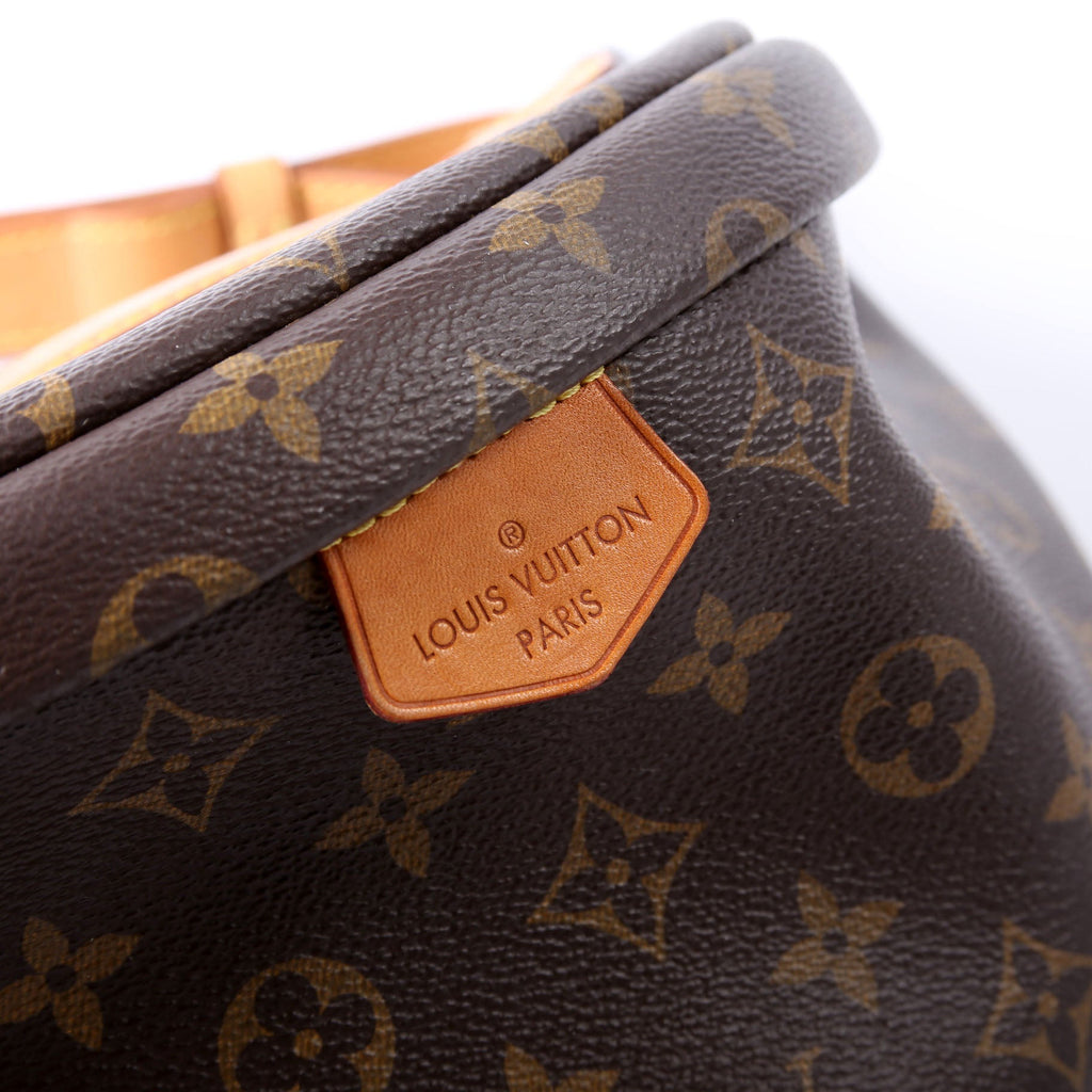 Louis Vuitton Bumbag Monogram 2018+