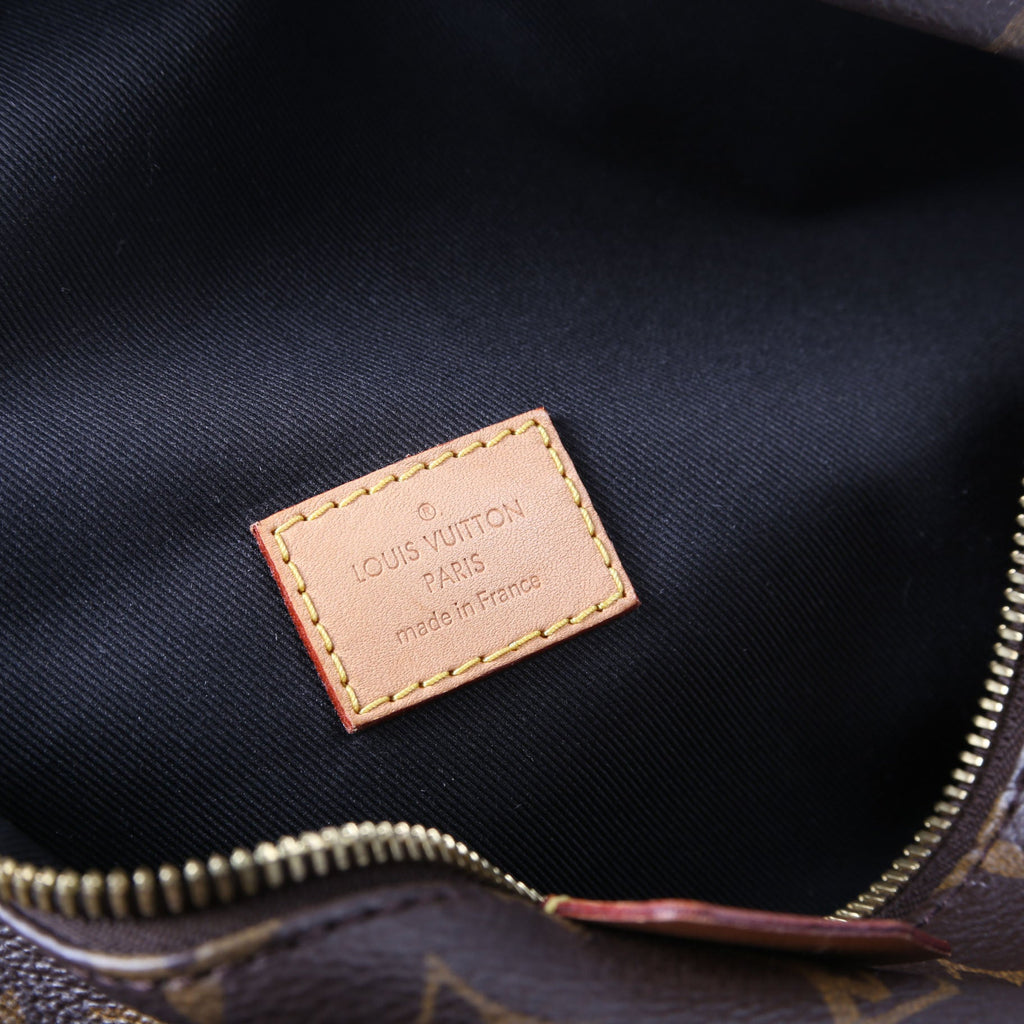 Louis Vuitton Bumbag Monogram 2018+