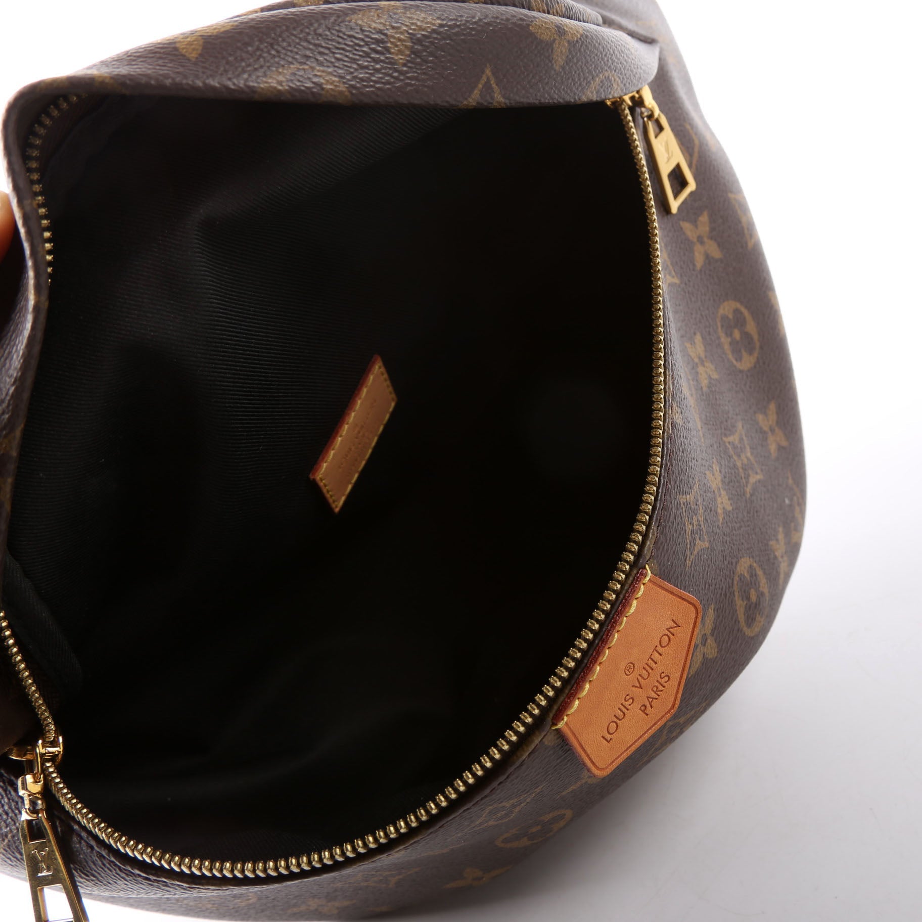 Louis Vuitton Bumbag Monogram 2018+