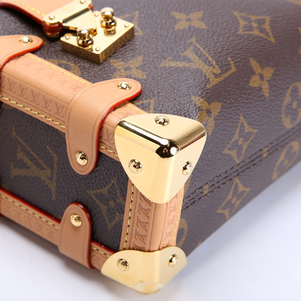 Louis Vuitton Side Trunk Pm Monogram
