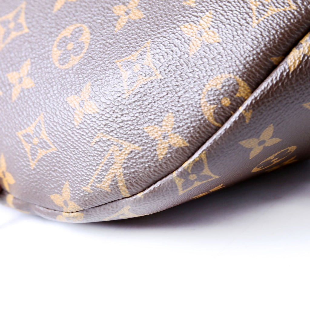 Louis Vuitton Bumbag Monogram 2018