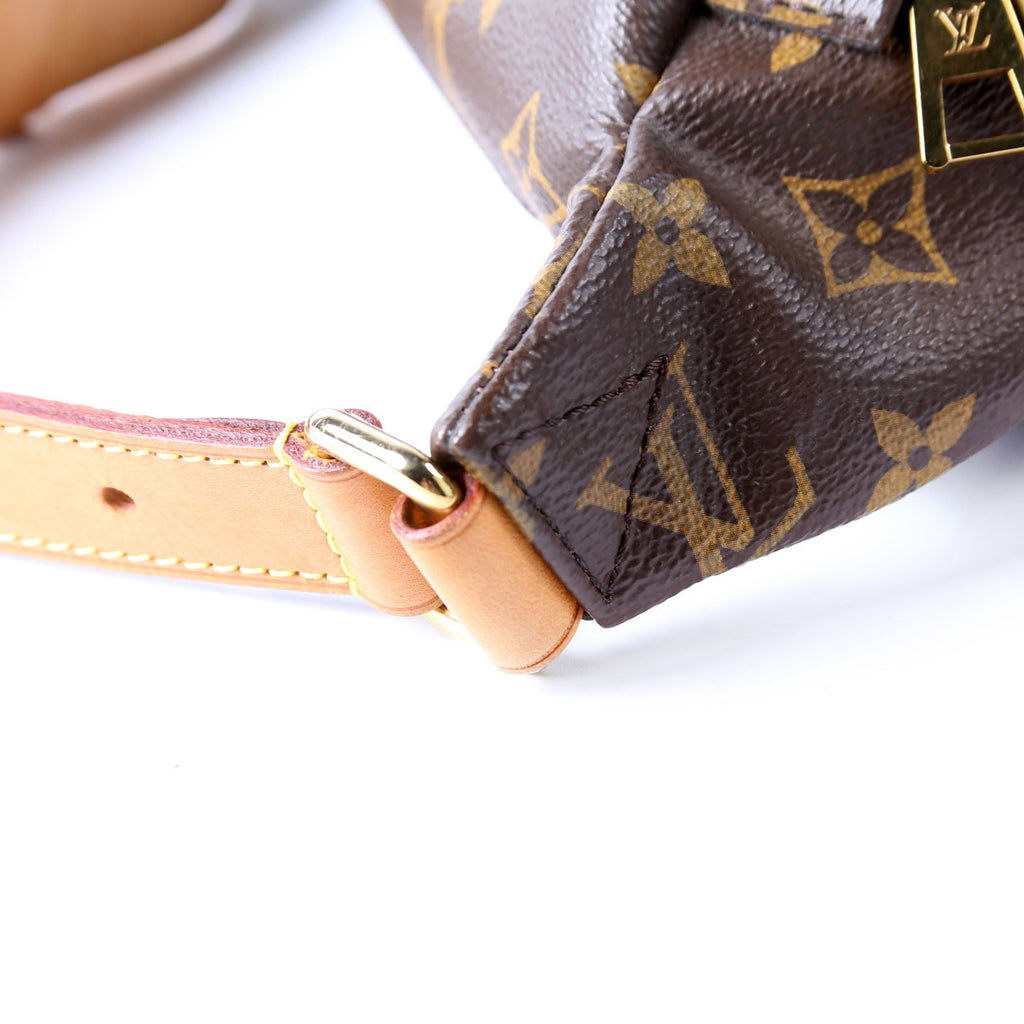 Louis Vuitton Bumbag Monogram 2018