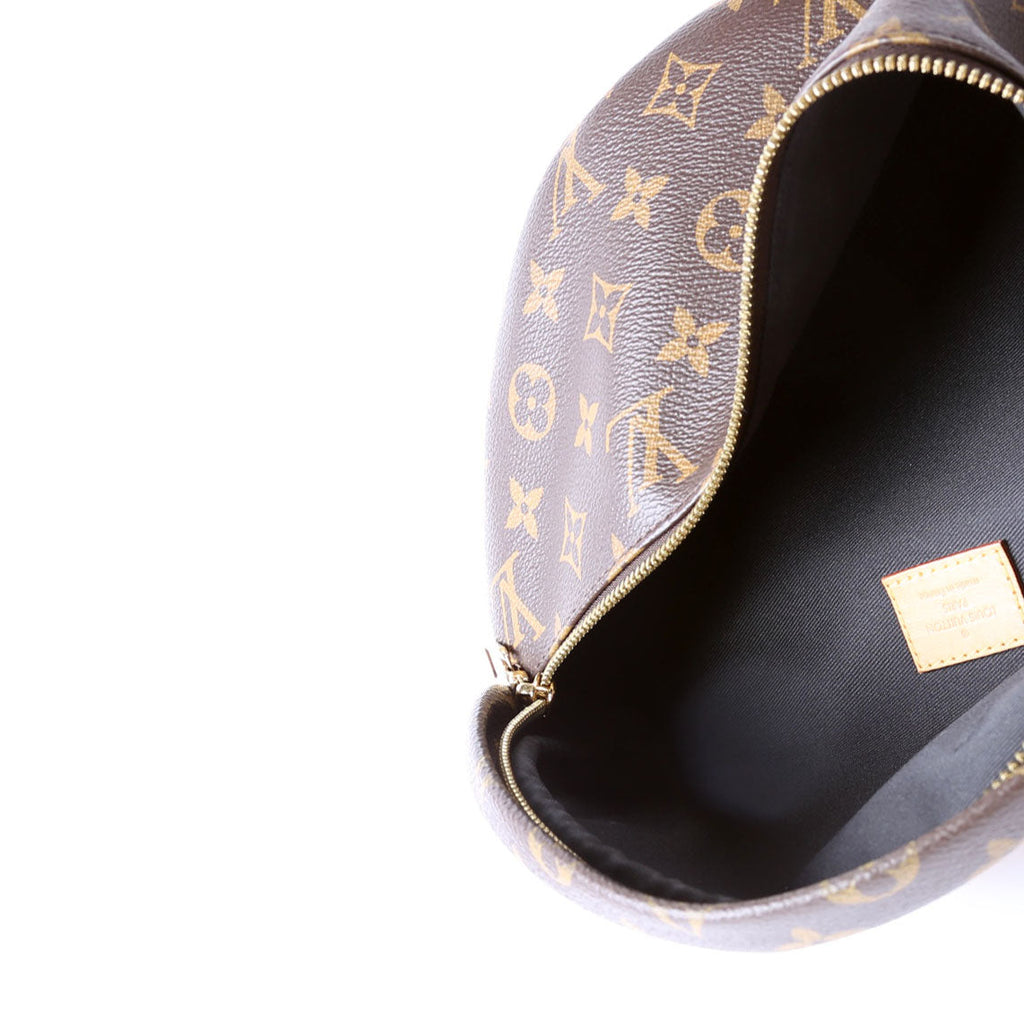 Louis Vuitton Bumbag Monogram 2018
