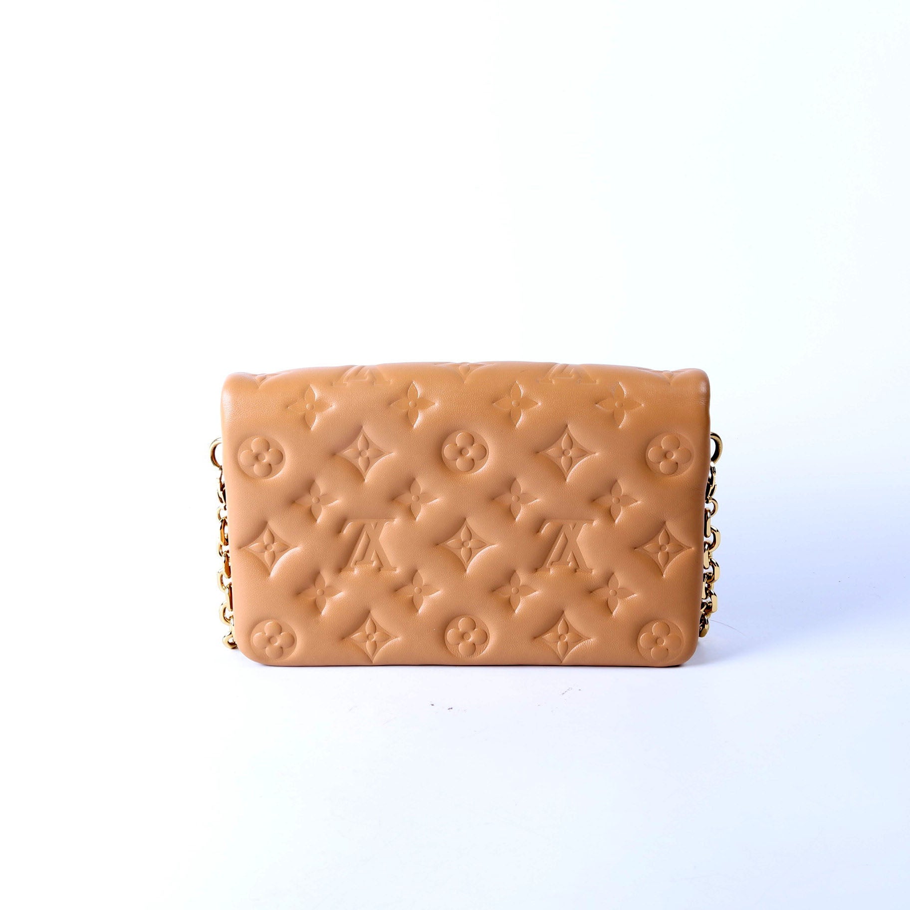 Louis Vuitton Pochette Coussin Tan