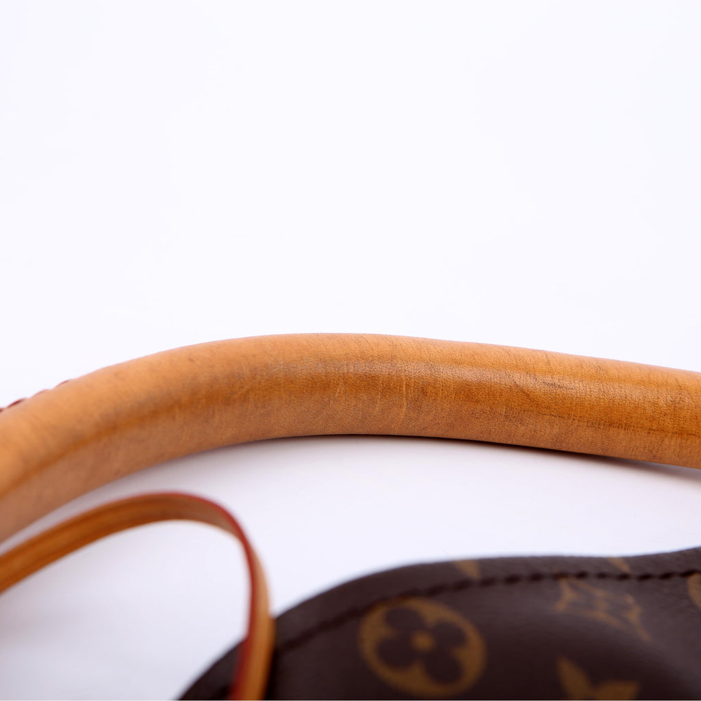 Louis Vuitton Artsy MM Monogram