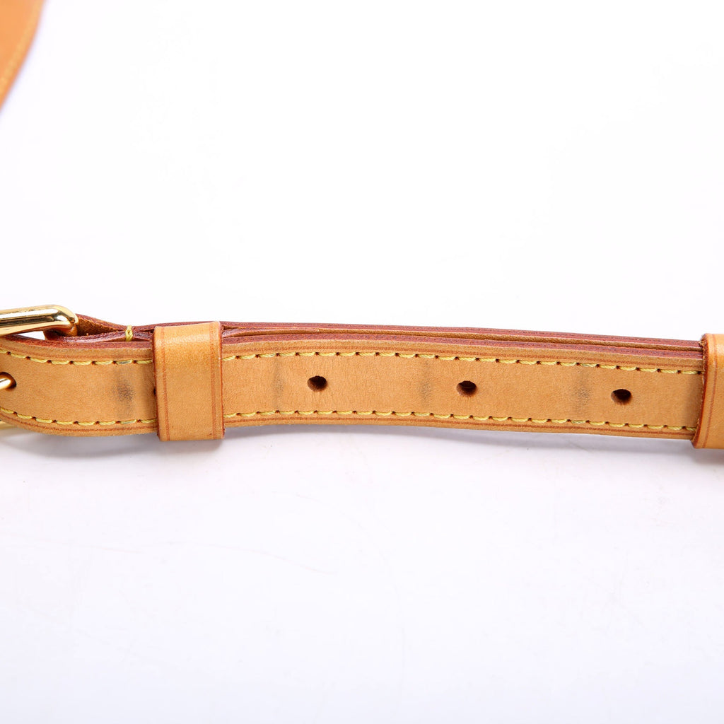 Louis Vuitton Menilmontant PM Monogram